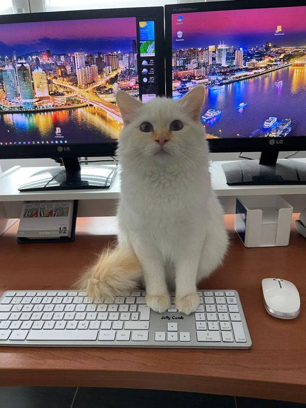 Xaver wartet auf Deine Nachricht